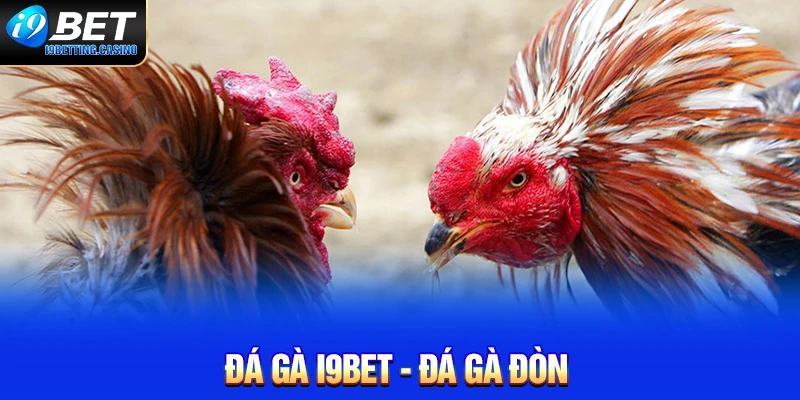 Đá gà đòn